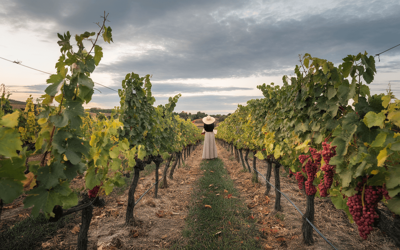 Femme en robe longue et chapeau se tenant dans un vignoble, entourée de vignes et de raisins, sous un ciel nuageux.