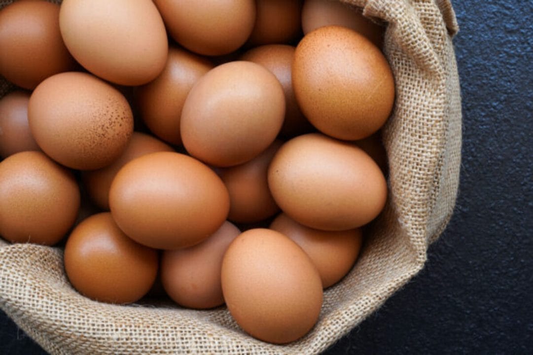 Les oeufs