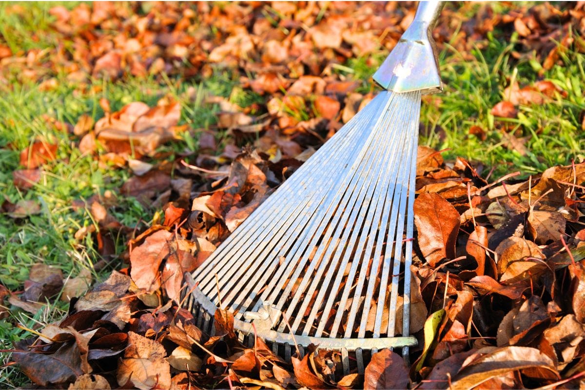 Le travail le plus important à faire dans son jardin en automne