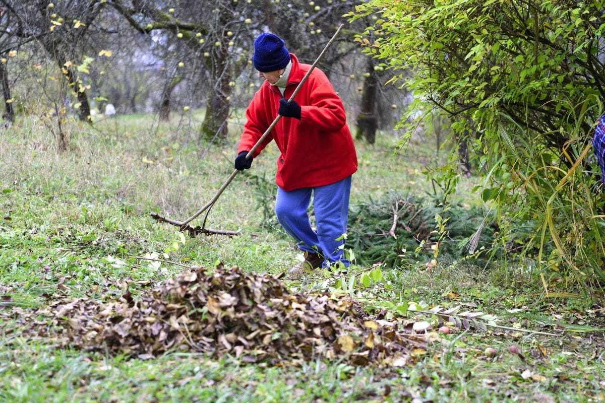 Arrivée du froid et ses atouts pour le jardin