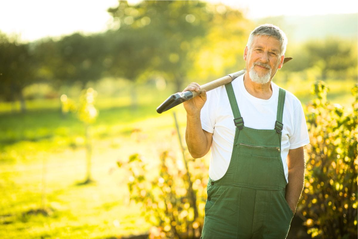 Conseils d’un jardinier pour relancer son potager en automne