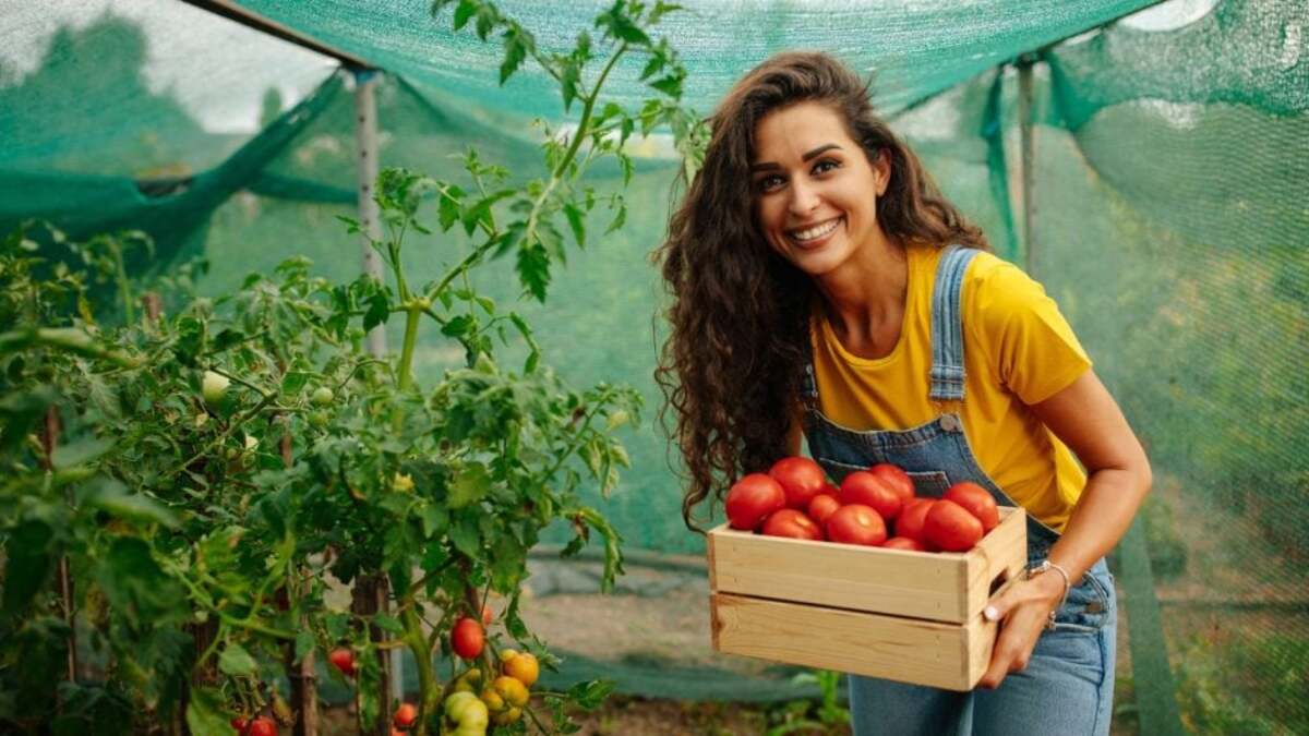 Vendre ses récoltes 
