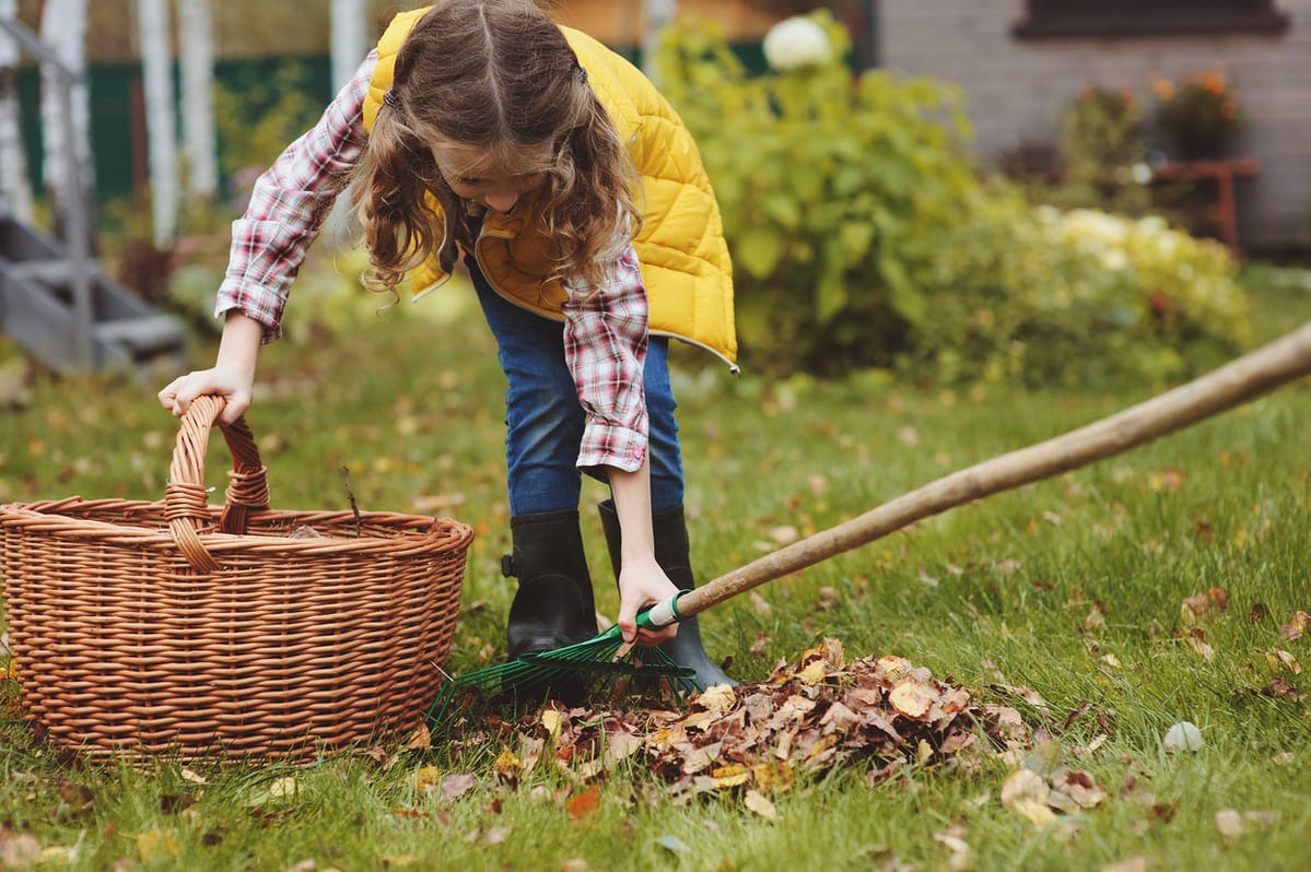Ces erreurs de jardinage fréquentes en automne