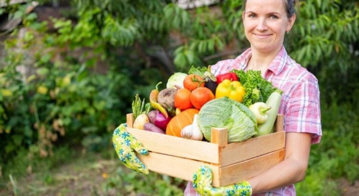 Vendre fruits et légumes de sa production 