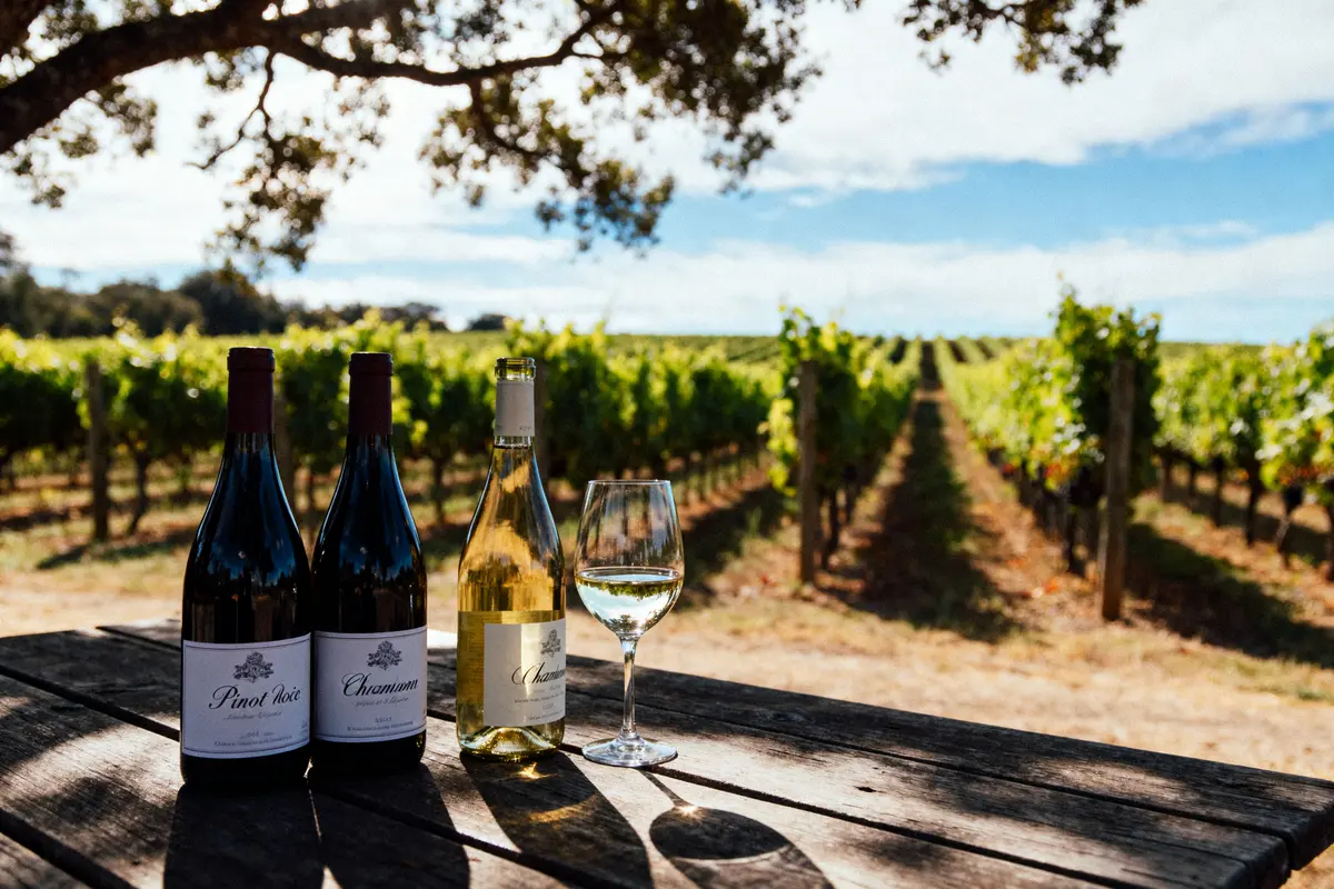Trois bouteilles de vin et un verre sur une table, vignoble en arrière-plan par temps ensoleillé.