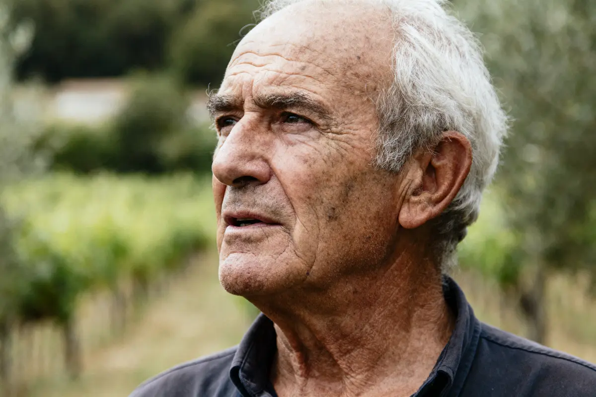 Homme âgé avec cheveux gris, regarde au loin, fond de vignoble flou.